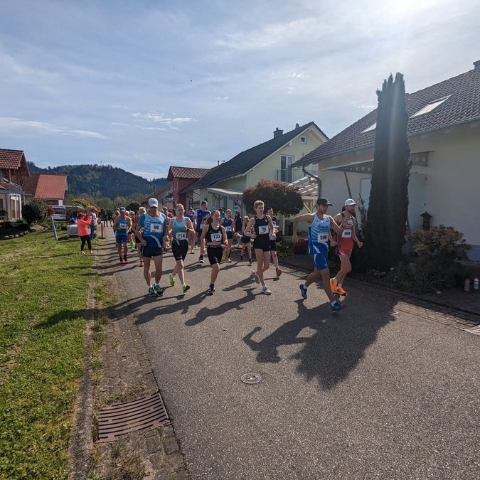 Der Startschuss ist gefallen