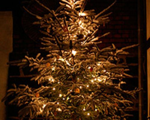 Frohe Weihnachten und einen guten Rutsch in ein gesundes, erfolgreiches Jahr 2012