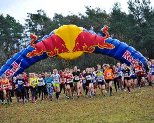 Darmstadt-Cross: Lisa Tertsch mit EM-Hoffnungen