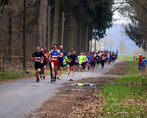 HLV-Lauf-Cup 2023: Der Zwischenstand