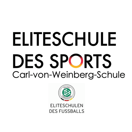 Die CvW-Schule sucht für das Schuljahr 23/24 junge Menschen für ein FSJ im Sport