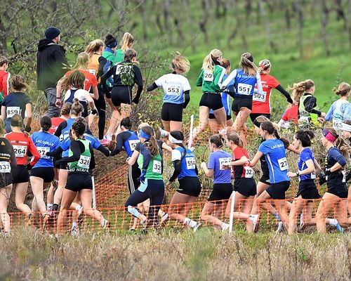 Tertsch, Tortell und Bienenfeld überzeugen bei Cross-DM mit starken dritten Plätzen 