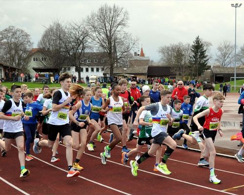 Nina Voelckel und Kilian Schreiner Schnellste bei den HM Straße 2024