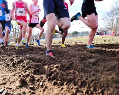 Nationale Spitzenbesetzung am Sonntag beim 32. Darmstadt-Cross