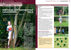 D._Ullrich_-_Teamfaehigkeit_in_der_Leichtathletik_2.pdf