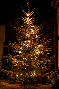 Frohe Weihnachten und einen guten Rutsch in ein gesundes, erfolgreiches Jahr 2012